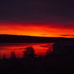 DSC02468 (1) DSC02468 (1)