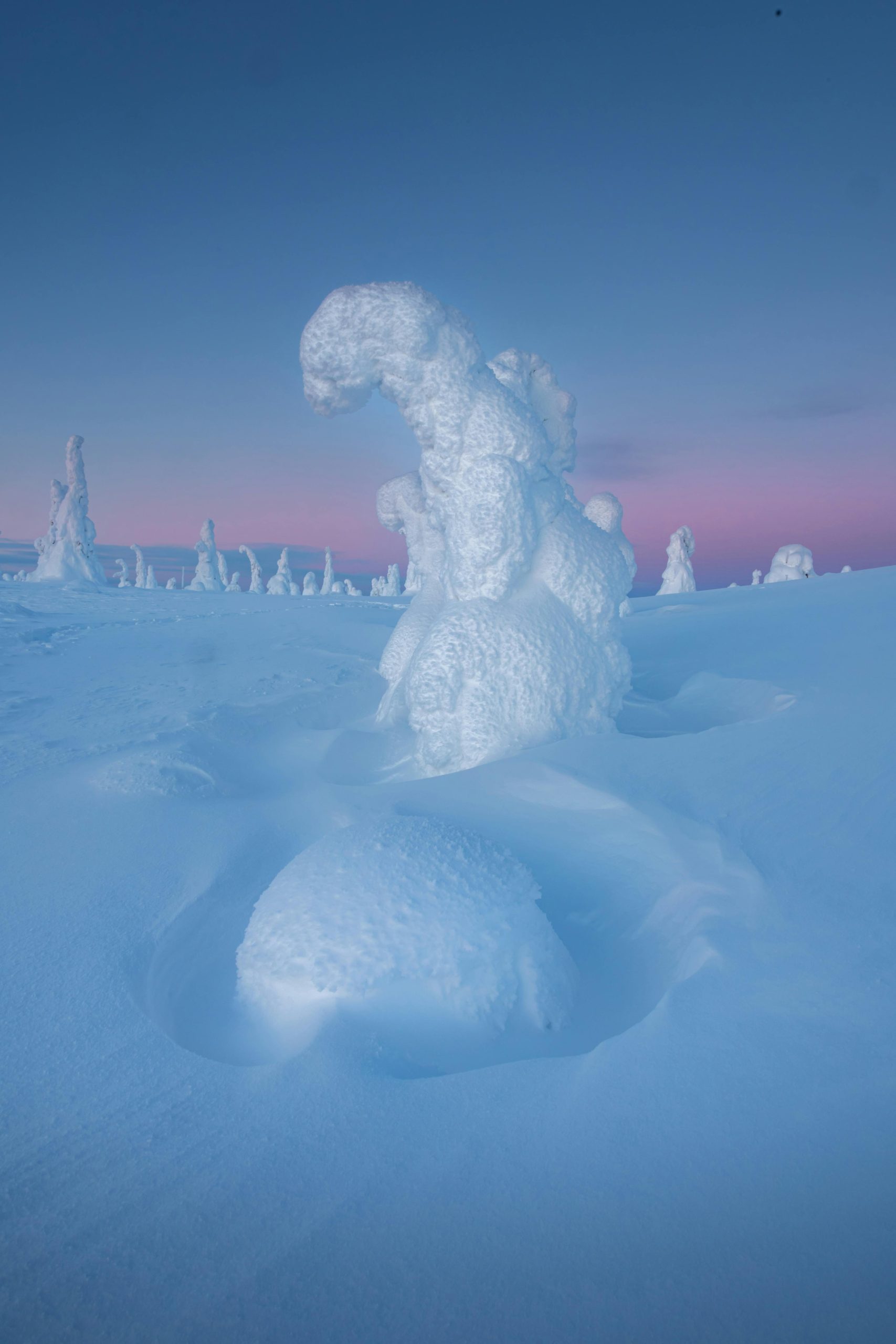 majoitus-luosto majoitus-luosto