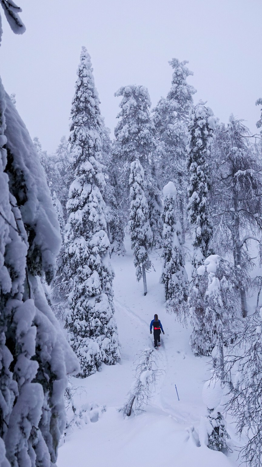 LRM_EXPORT_57345371339737_20191229_143556681